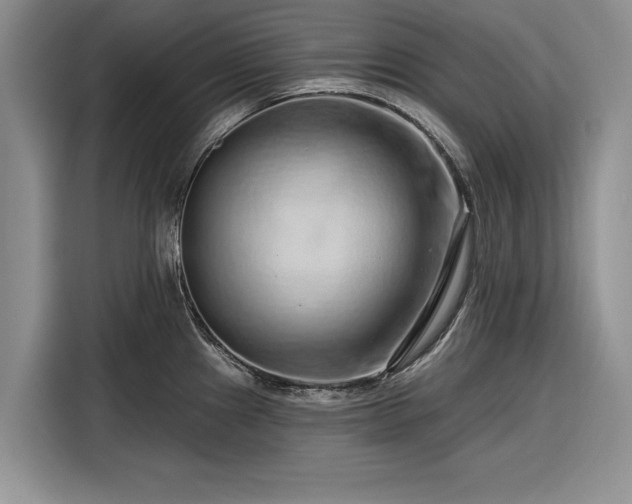 X0000116281241200912071144