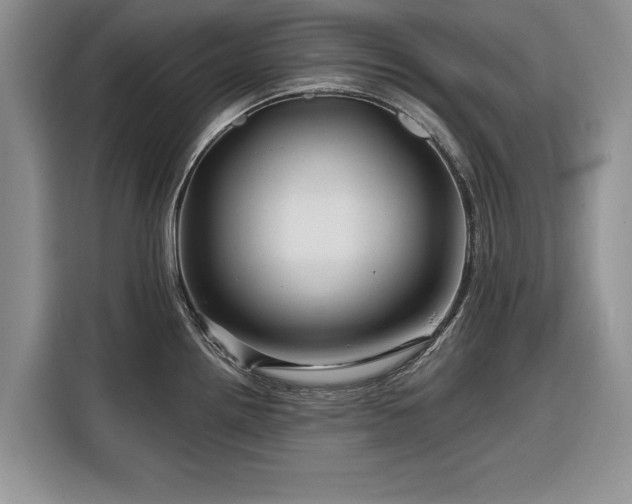 X0000116281242200912071144