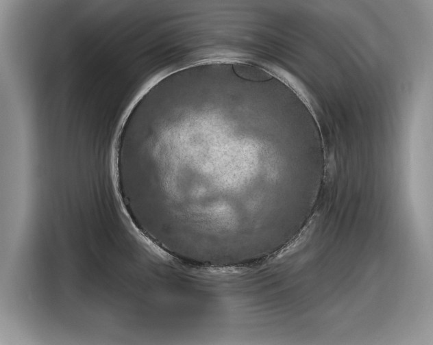 X0000116281243200912071144