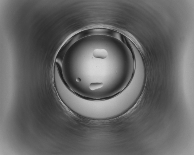 X0000116281244200912071144