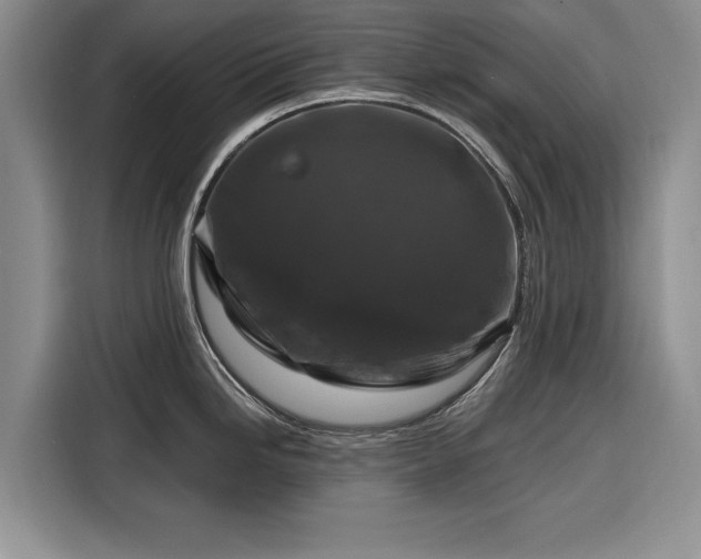 X0000116281246200912071144
