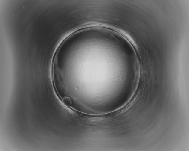 X0000116281247200912071144