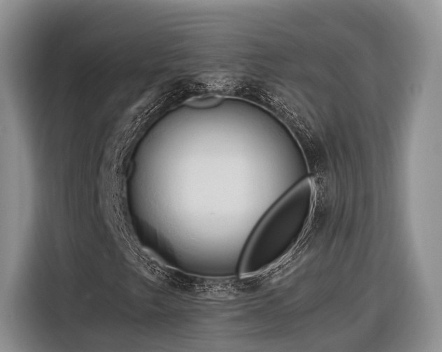 X0000116281249200912071143