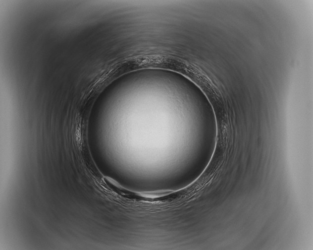 X0000116281250200912071143