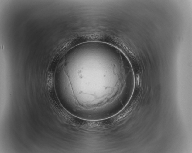 X0000116281251200912071143