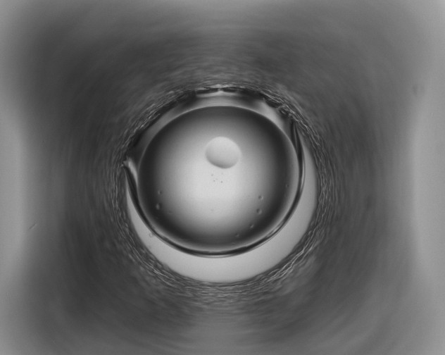 X0000116281253200912071143