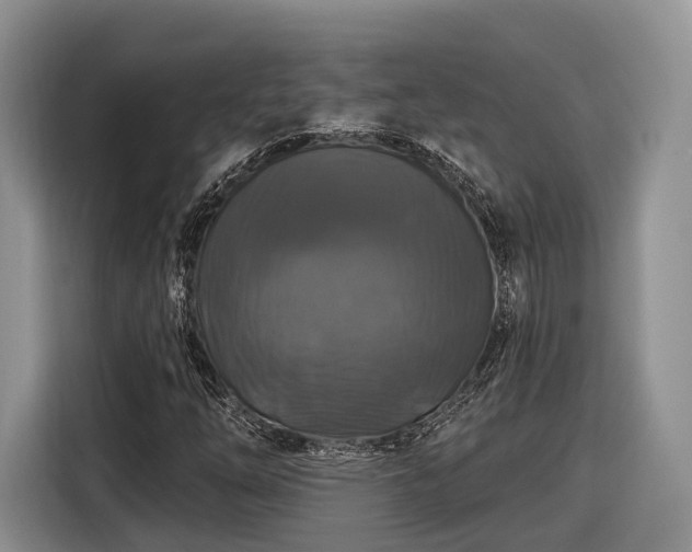 X0000116281254200912071143