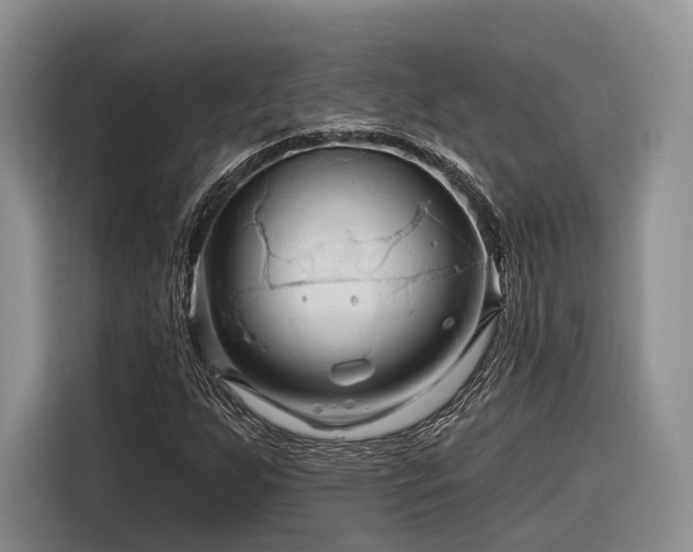 X0000116281255200912071143