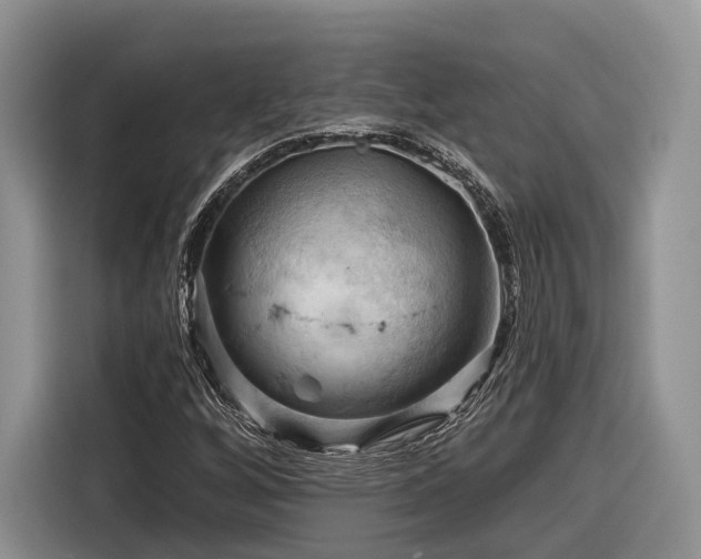 X0000116281256200912071143