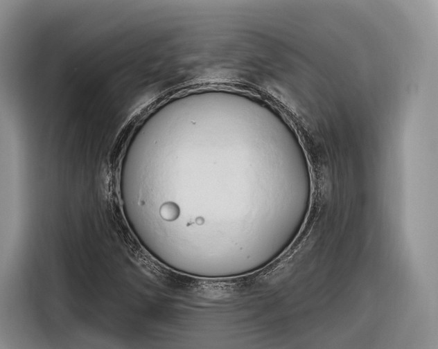 X0000116281258200912071143