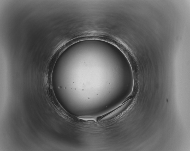 X0000116281259200912071143