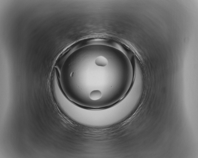 X0000116281260200912071143