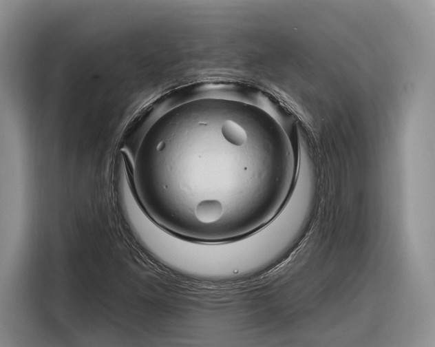 X0000116281261200912071143