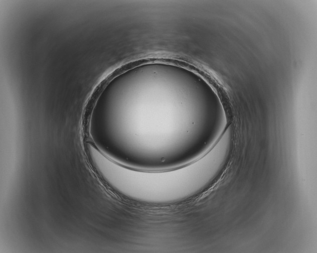 X0000116281264200912071143