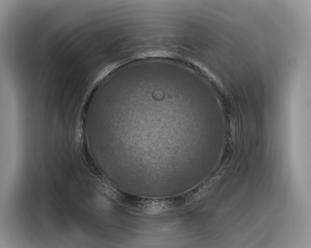 X0000116281266200912071143