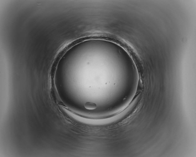 X0000116281267200912071143