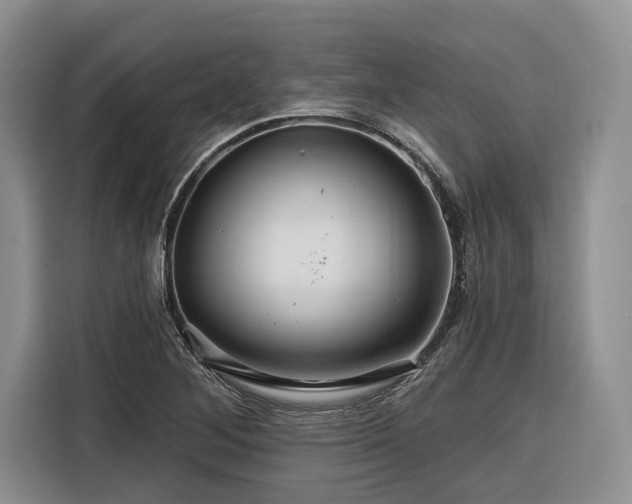 X0000116281268200912071143