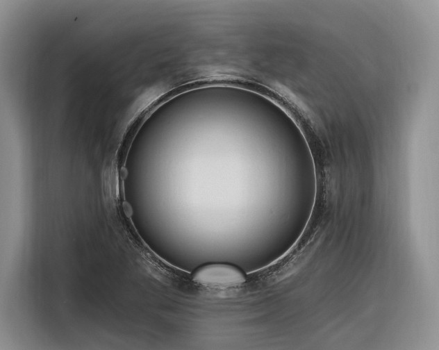 X0000116281269200912071143