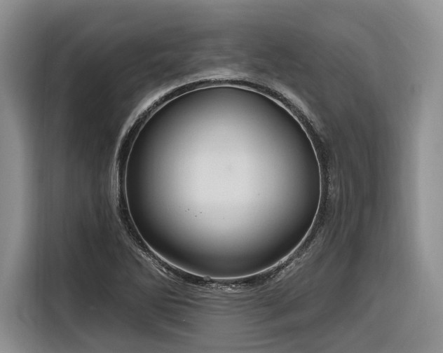 X0000116281270200912071143