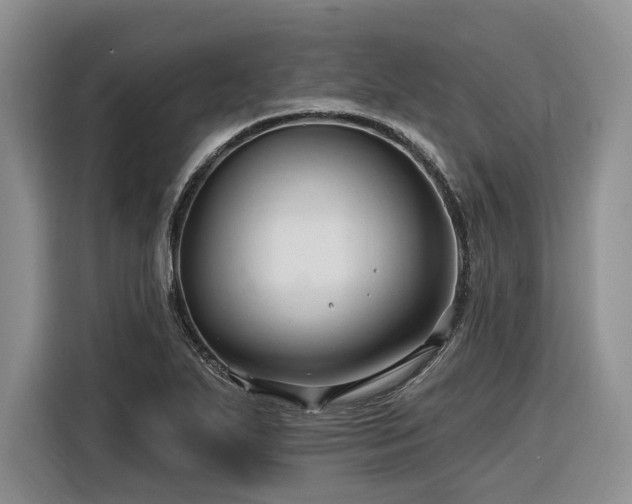 X0000116281271200912071143