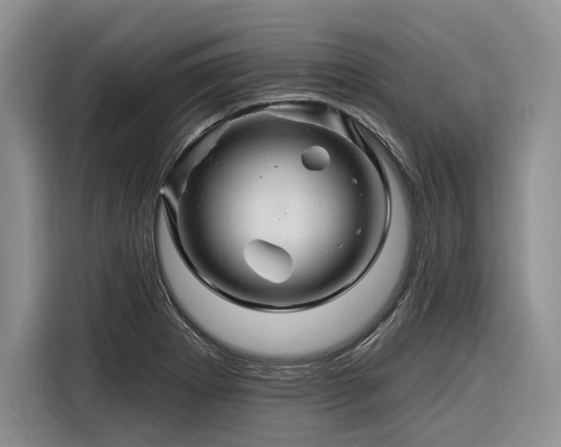 X0000116281273200912071143
