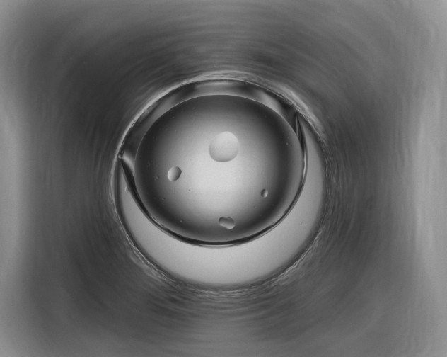 X0000116281276200912071143