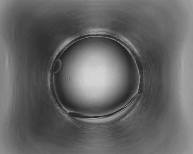 X0000116281277200912071143