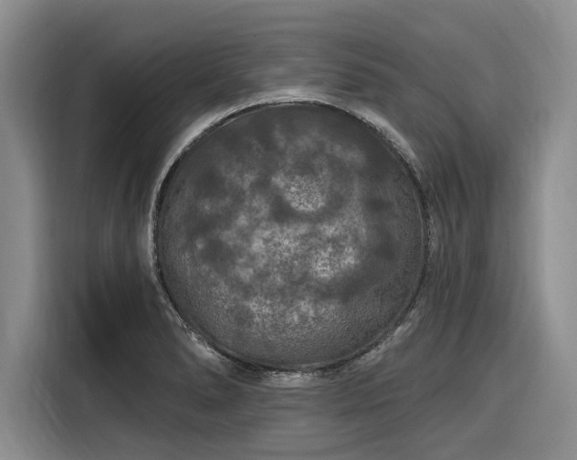 X0000116281278200912071143