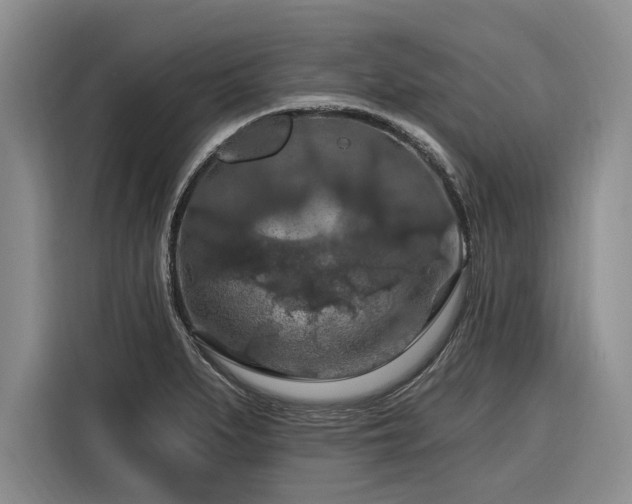 X0000116281279200912071143