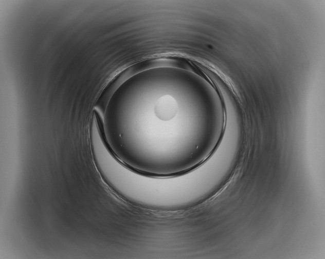 X0000116281281200912071143