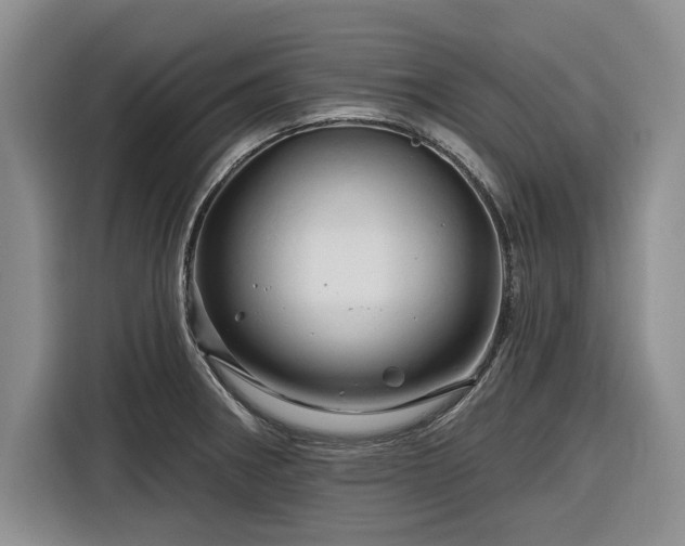 X0000116281282200912071143
