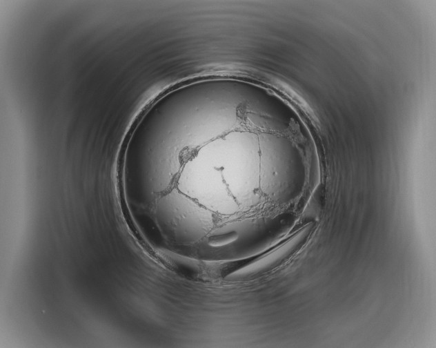 X0000116281283200912071143