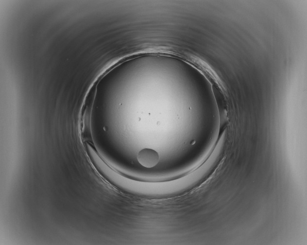 X0000116281284200912071143