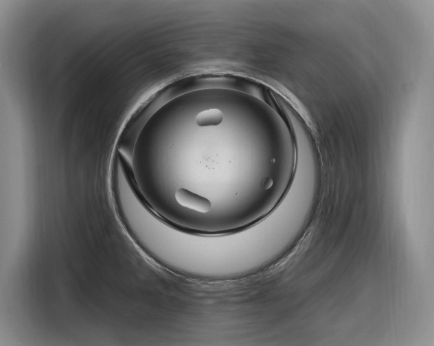X0000116281285200912071143