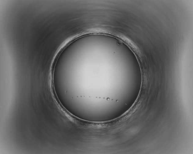 X0000116281286200912071143