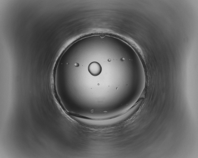 X0000116281287200912071143