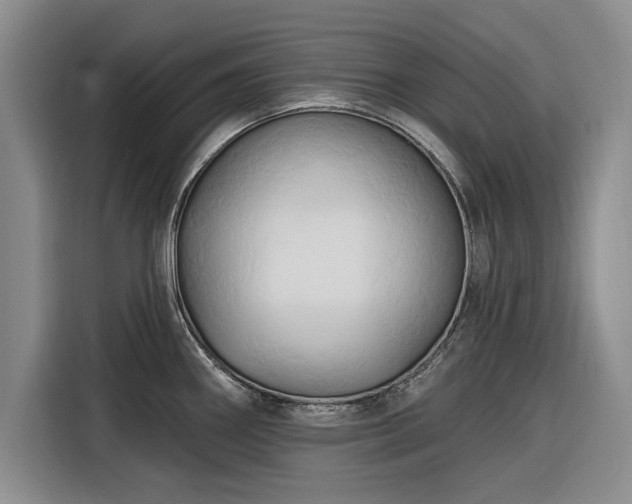 X0000116281290200912071143