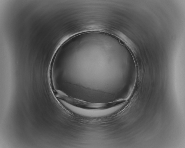 X0000116281291200912071143
