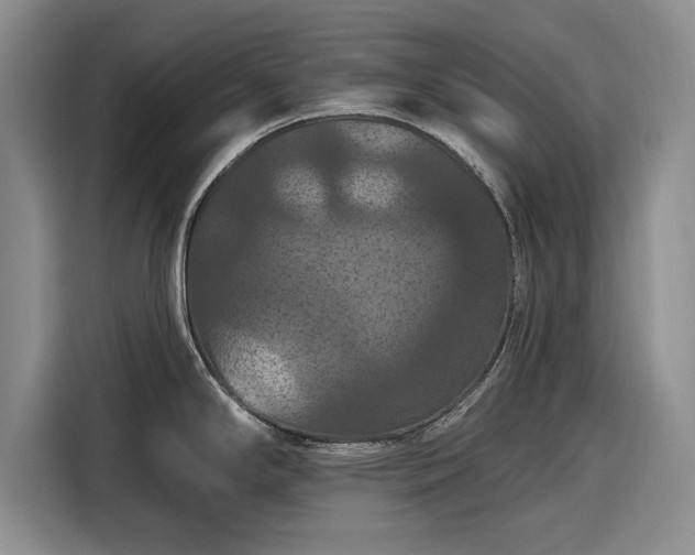 X0000116281294200912071143