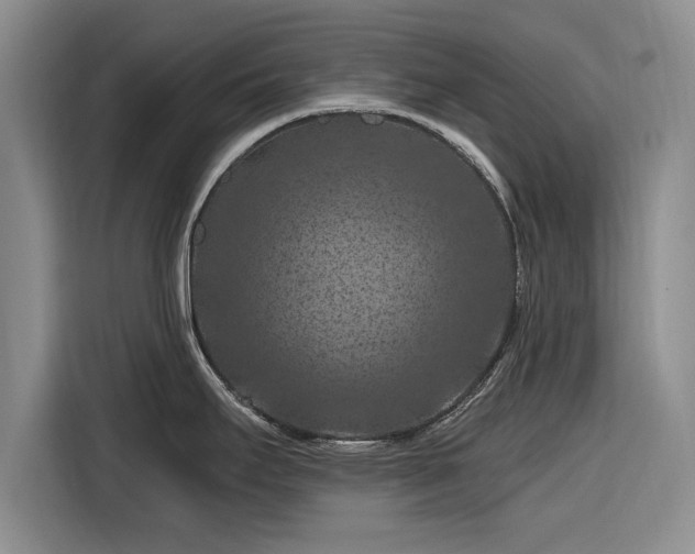 X0000116281295200912071142