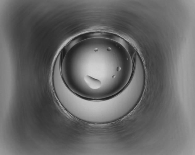 X0000116281296200912071142
