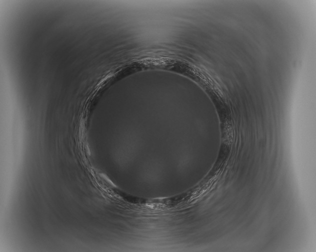 X0000116281297200912071142