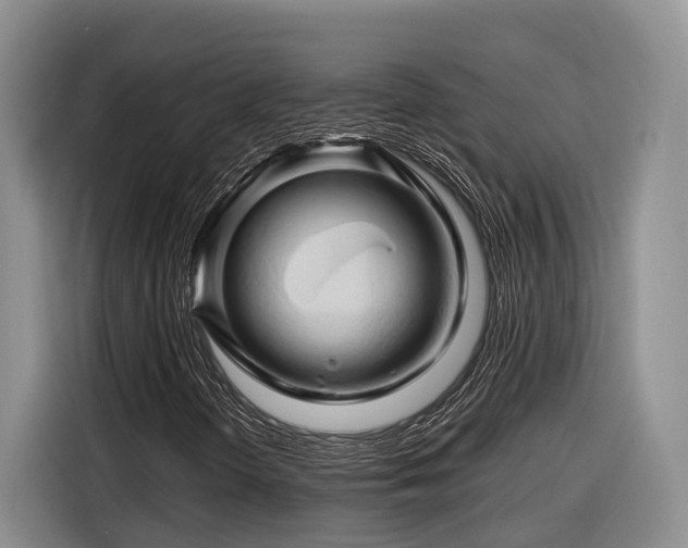 X0000116281298200912071142