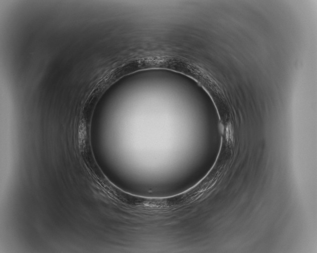 X0000116281299200912071142