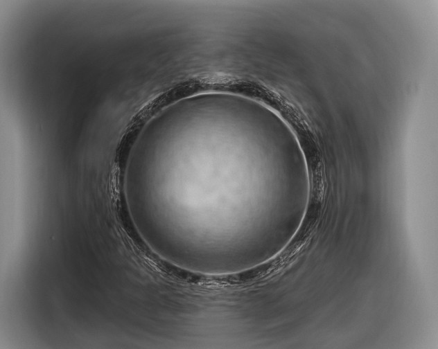 X0000116281301200912071142