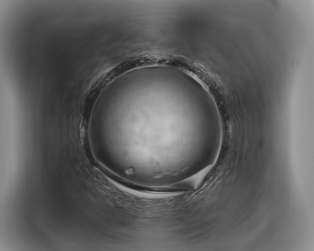 X0000116281302200912071142