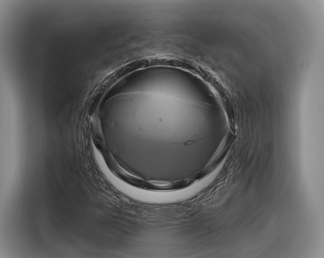 X0000116281303200912071142