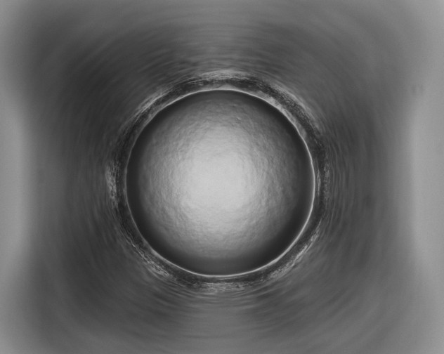 X0000116281305200912071142