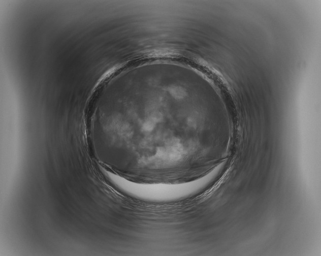 X0000116281306200912071142