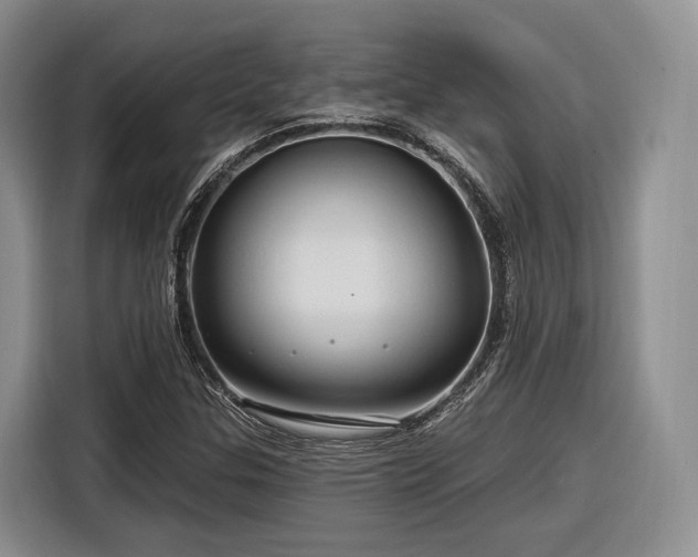 X0000116281307200912071142